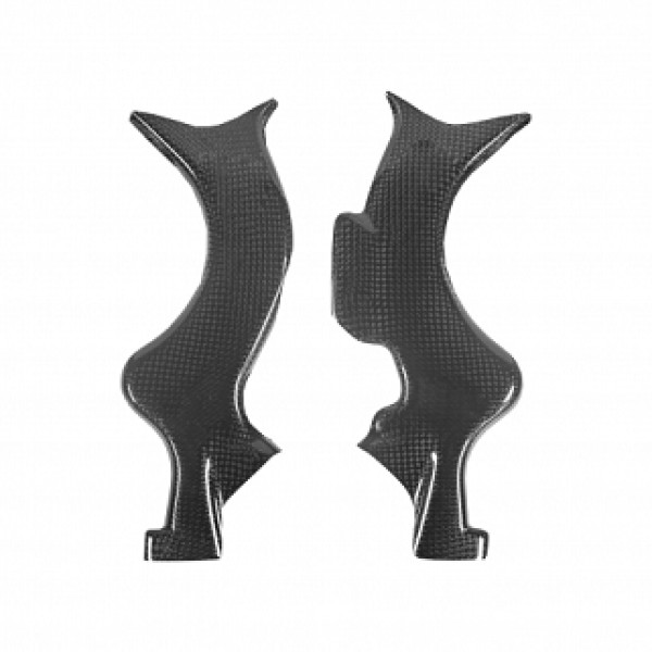 Protezioni Telaio CARBONIO BETA EVO 09-19 Protezioni Telaio CARBONIO BETA EVO 09-19